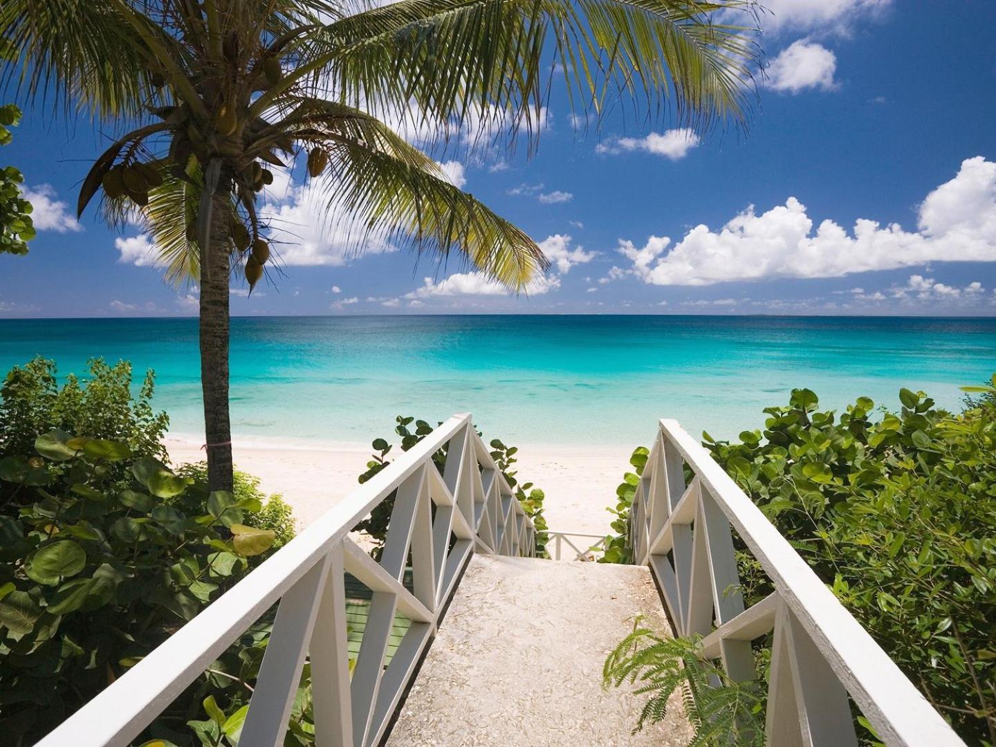 Tranquil Paradise 4Br - 2 Miles To Tampa Bucs Stadiumヴィラ エクステリア 写真